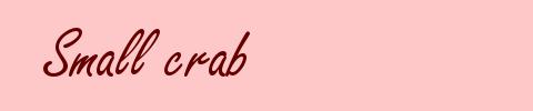 Small crab